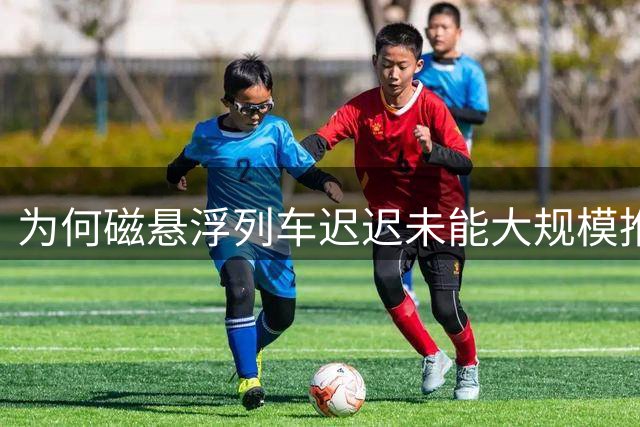 为何磁悬浮列车迟迟未能大规模推广？