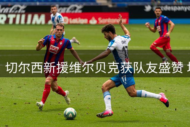 切尔西新援维尔贝克获队友盛赞 场内外都是球队粘合剂