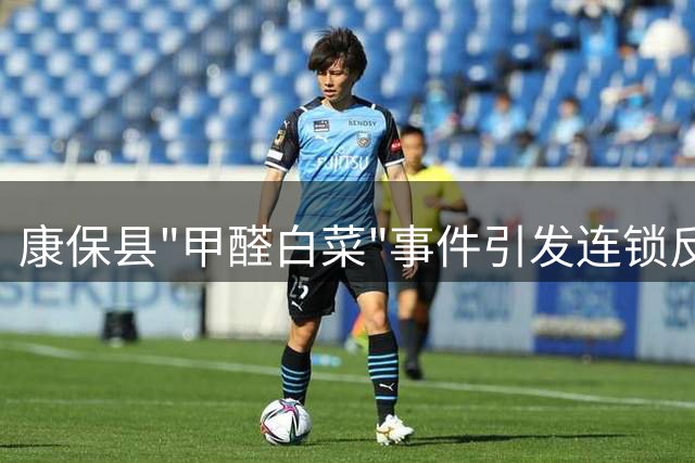 康保县"甲醛白菜"事件引发连锁反应 万亩滞销菜农陷困境